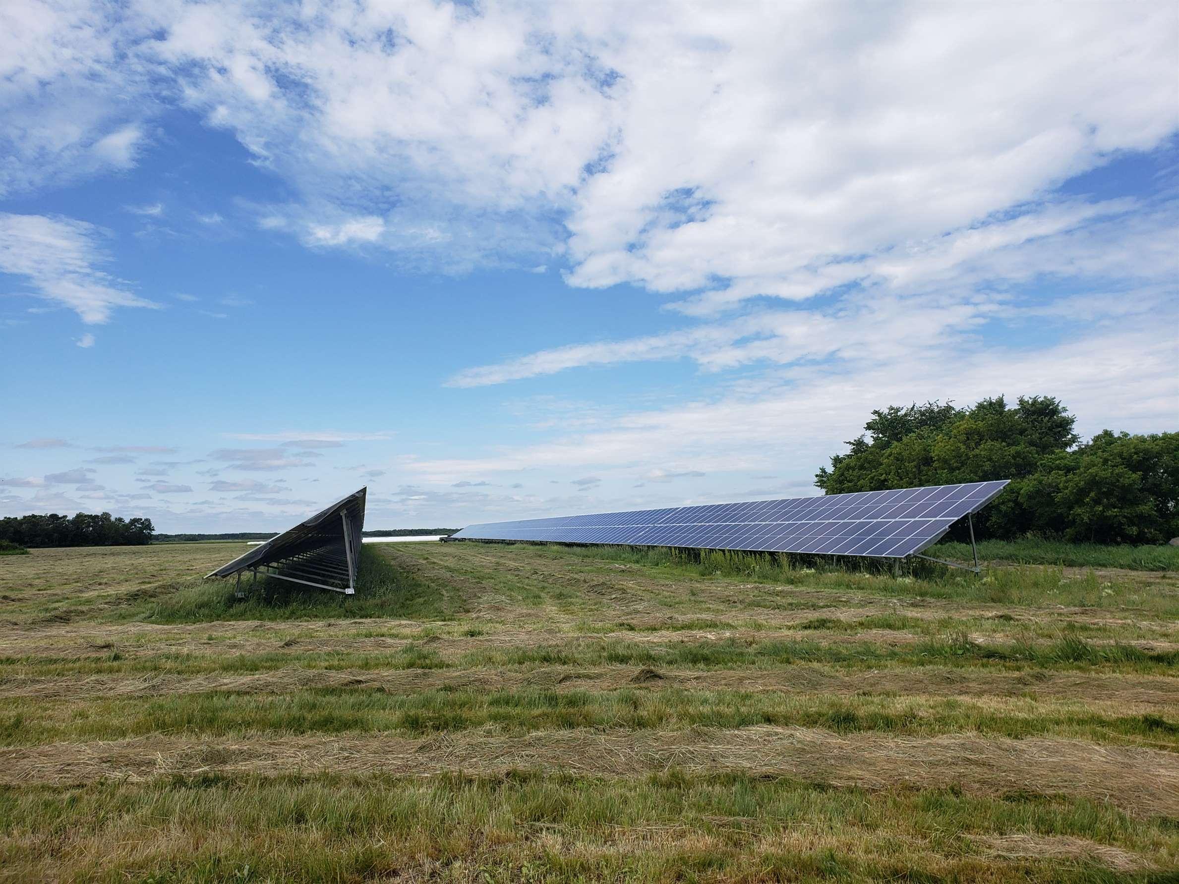 Farm Solar Panels